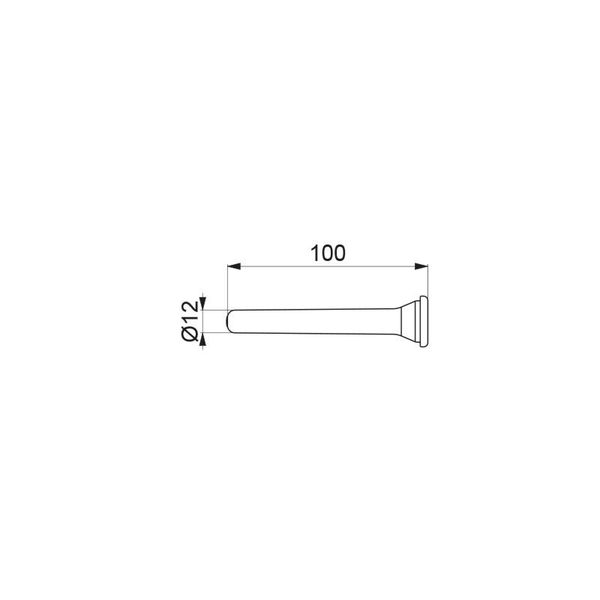 Technische Zeichnung eines Bolzens mit einer Länge von 100 Millimetern und einem Durchmesser von 12 Millimetern.