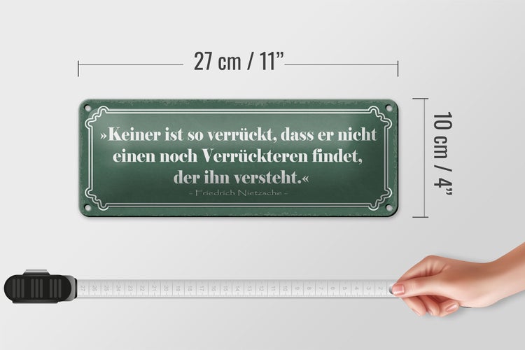 Blechschild Spruch 27x10cm keiner so verrückt dass er nicht Verrückteren findet
