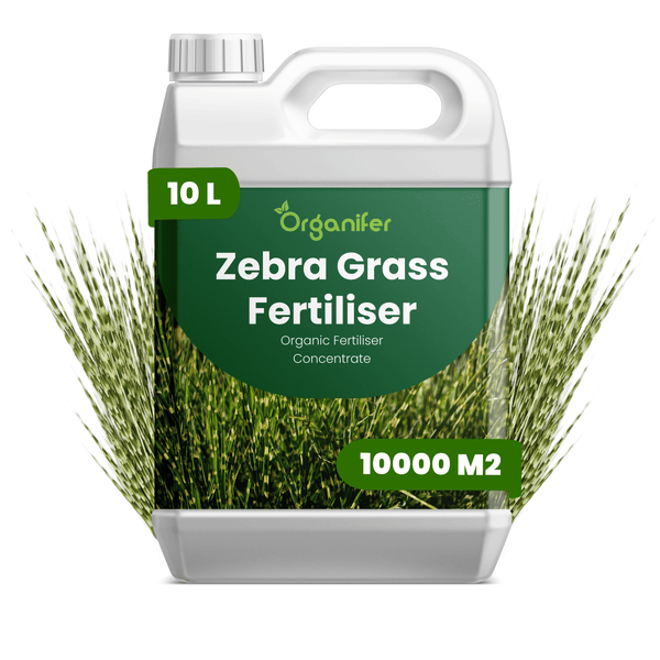 Organifer Zebragras-Dünger, organisches Düngerkonzentrat, 10 Liter Kanister für 10000 Quadratmeter.