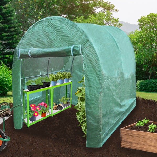 Polytunnel 19mm 2.5m x 2m mit Regale