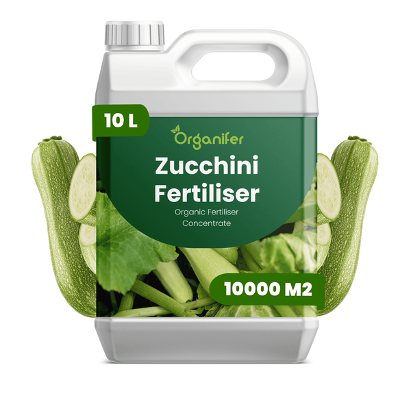 Organifer Zucchini-Dünger, organisches Düngerkonzentrat, 10 Liter Kanister für 10000 Quadratmeter, Organifer Logo.