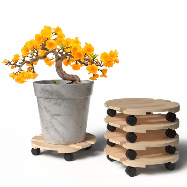 Pflanzroller aus Holz mit Pflanze im Topf und Stapel Pflanzroller