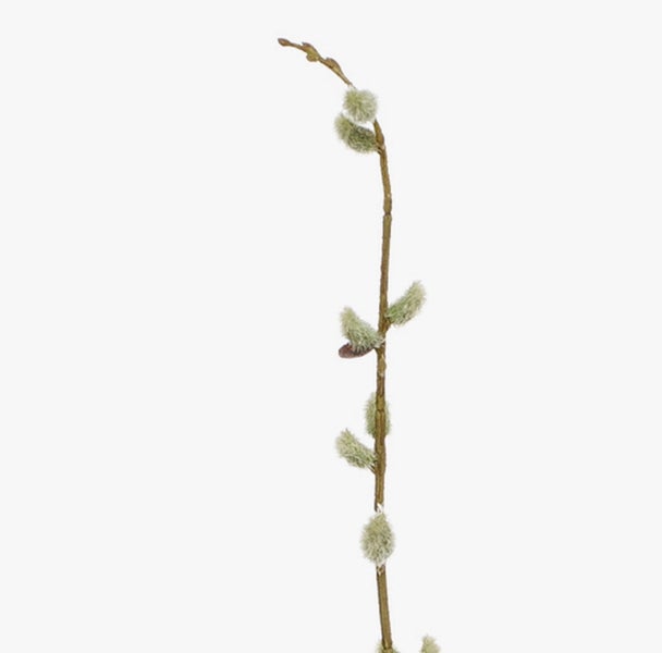 Künstlicher Weidenzweig mit Weidenkätzchen zur Dekoration