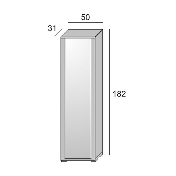 Abbildung eines schmalen Schranks mit den Maßen 50 x 31 x 182 Zentimeter.