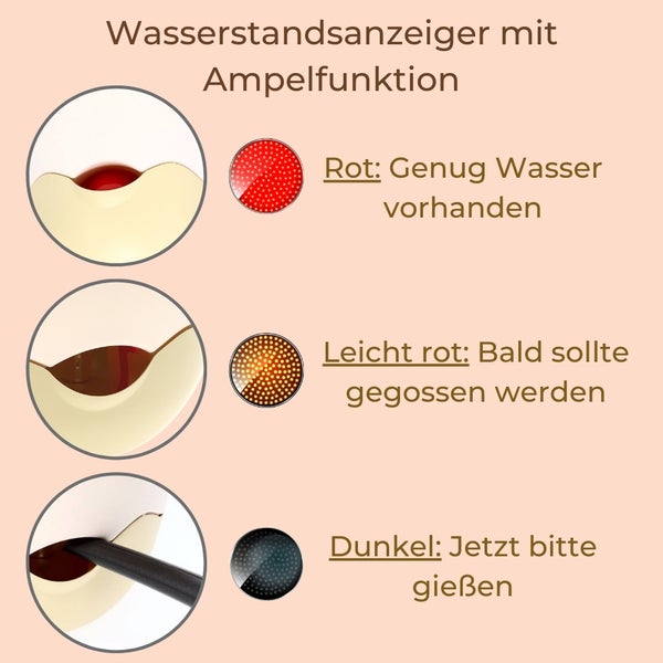 Infografik zum Wasserstandsanzeiger mit Ampelfunktion zur Anzeige von ausreichendem Wasser, baldiger Bewässerung und sofortigem Gießbedarf.