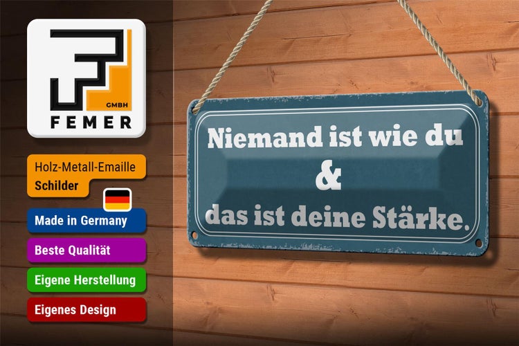 Blechschild Spruch 27x10cm Niemand ist die du deine Stärke Dekoration