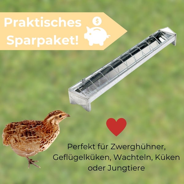Futterraufe mit Wachtel