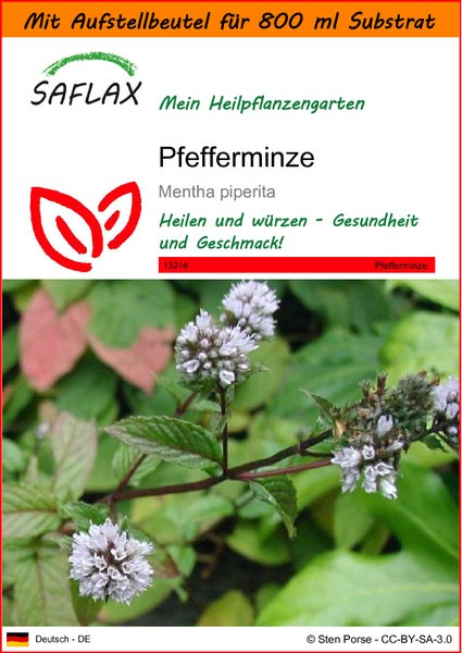 SAFLAX Garden in the bag - Pfefferminze - Mentha piperita - 300 Samen - Mit Anzuchtsubstrat im praktischen, selbst aufstellenden Beutel
