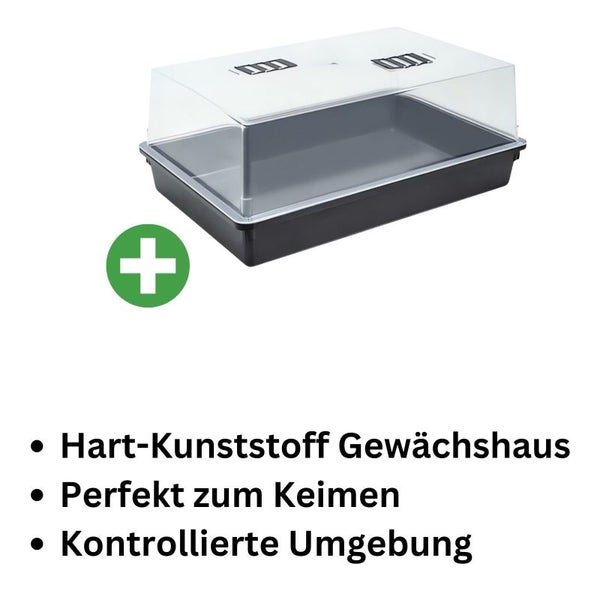 Hartplastik Grow Gewächshaus 57x38x22 cm mit Belüftungssystem – Langlebig, Kompakt & Perfekt für Keimung, Pflanzenzucht & Steinwolle-Tabletts