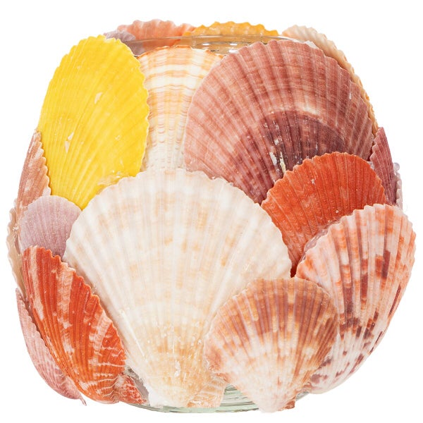 Windlicht aus Glas, verziert mit zahlreichen echten Muschelschalen in verschiedener Optik für eine maritime Dekoration.