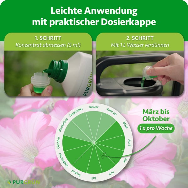 Anwendungshinweise für Purgrün Pflanzendünger mit Dosieranleitung und Kalender für die monatliche Anwendung von März bis Oktober.