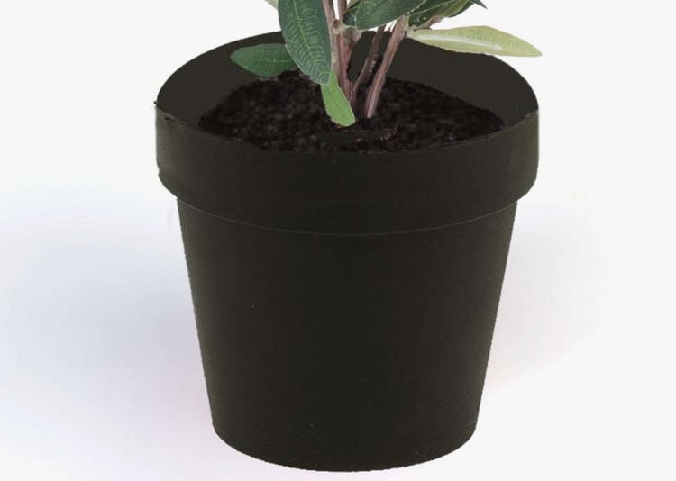 Rustikaler Pflanztopf aus Terrakotta mit Pflanzenstielen und Blumenerde.