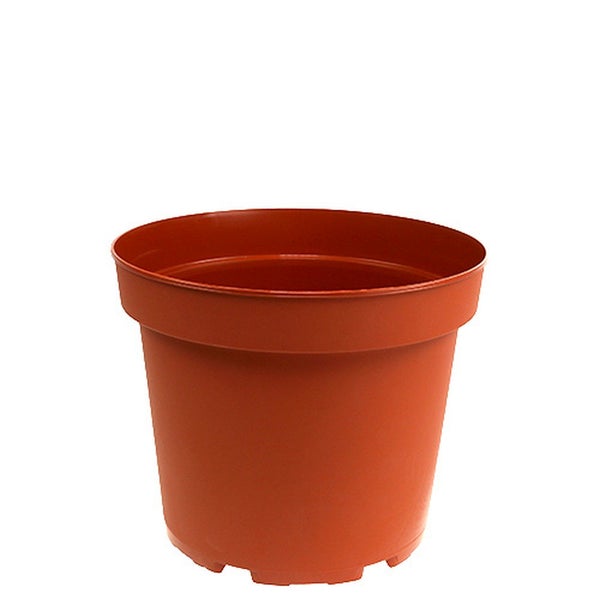 Runder Pflanztopf aus Kunststoff in Terrakotta-Farbe mit breitem Rand.