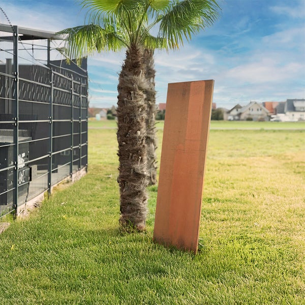 Gartenszene mit Metallzaun, Palme und Beetumrandung