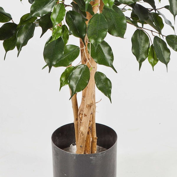Künstliche Pflanze Ficus Benjamina mit grünen Blättern und Echtholzstamm in einem schwarzen Topf.