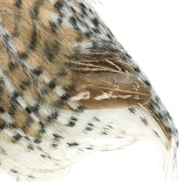 Detailaufnahme eines dekorativen Vogels mit Federn