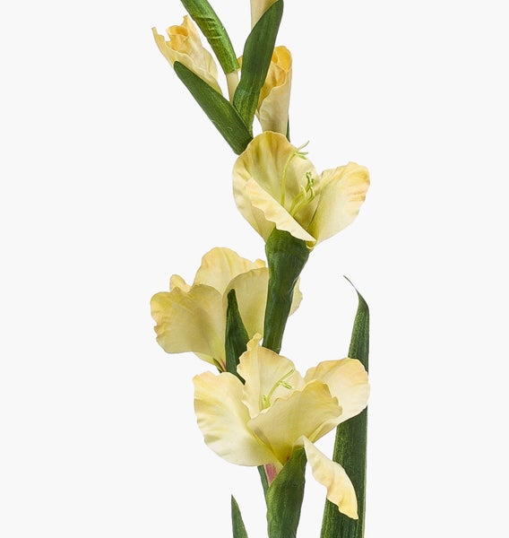 Künstliche Gladiole mit gelben Blüten und grünen Blättern