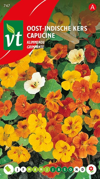 Samenpackung Kletternde Kapuzinerkresse