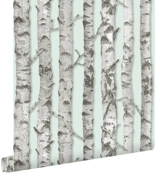 Tapete mit Birkenstamm Muster