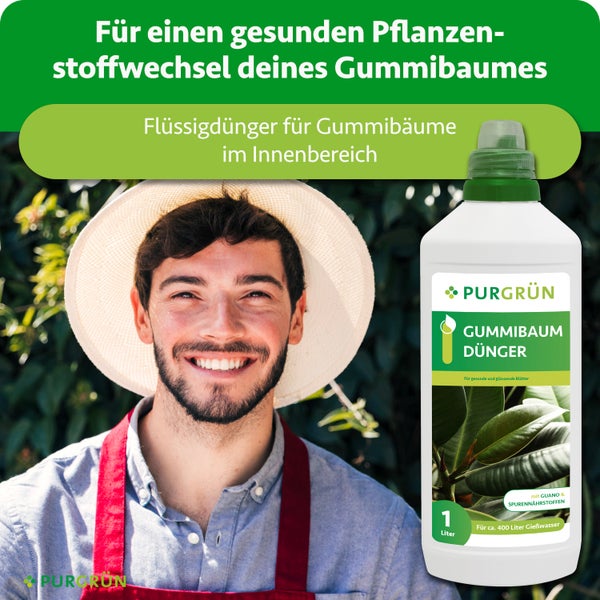 Purgrün Gummibaum Dünger, 1 Liter Flasche Flüssigdünger für den Innenbereich mit Guano und Spurennährstoffen, Purgrün Logo.