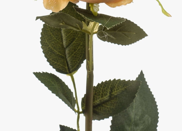 Nahaufnahme der grünen Blätter und des Stiels einer künstlichen Rose mit gezackten Blatträndern und sichtbaren Blattadern.