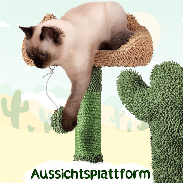 Katze auf einem Katzenkratzbaum mit Aussichtsplattform und Kaktusdesign