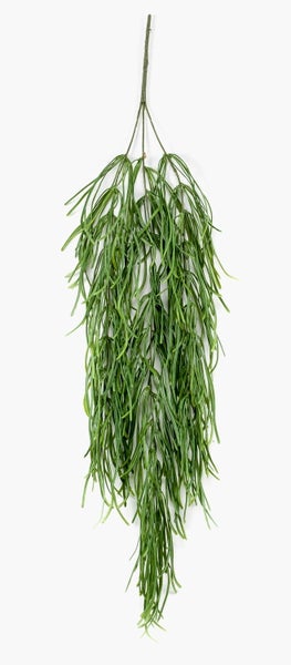 Künstliche Pflanze im schwarzen Kunststofftopf mit dicken Stämmen und Moos.