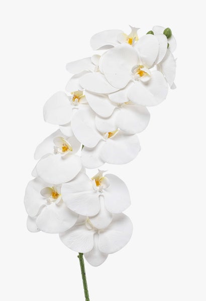 Weiße künstliche Orchideenblüten mit gelber Mitte.