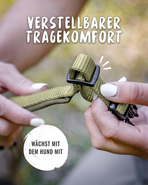 Verstellbares Hundehalsband für Tragekomfort