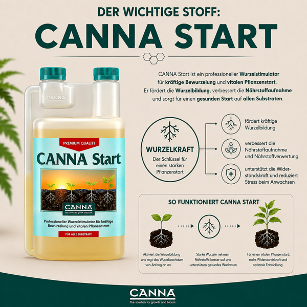 CANNA Start Wurzelsimulator in der Flasche mit Informationen zur Wirkungsweise und den Vorteilen für ein starkes Pflanzenwachstum.