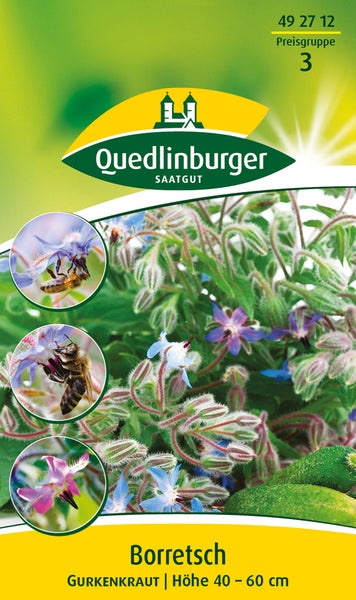 Samenpackung für Borretsch Gurkenkraut von Quedlinburger Saatgut mit Abbildungen der Pflanze, Bienen und einer Wuchshöhe von circa 40 bis 60 Zentimetern.
