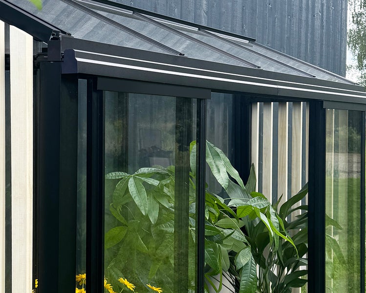 Detailansicht eines Gewächshauses mit schwarzem Aluminiumrahmen und Glaswänden, darin befinden sich grüne Pflanzen.
