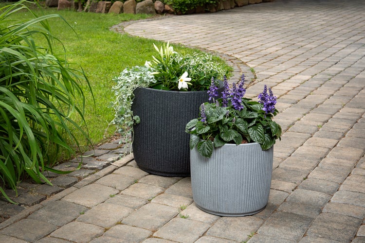Zwei runde Pflanzgefäße mit gerippter Struktur, bepflanzt mit Blumen, stehen auf einem gepflasterten Gartenweg.