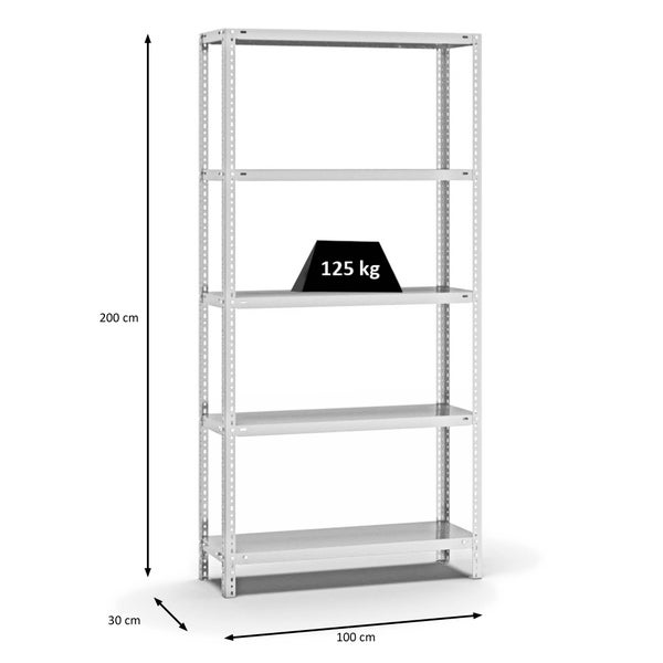 PROREGAL Fachbodenregal Schraubsystem Light-Duty Grundregal HxBxT 200 x 100 x 30 cm 5 Ebenen Fachlast 125 kg Beidseitig Nutzbar Lichtgrau