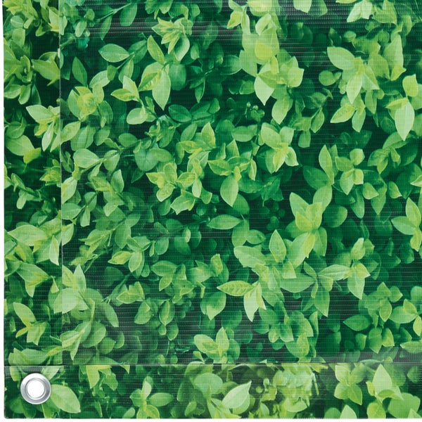 Gartenzaun mit grünen Blättern als Motiv