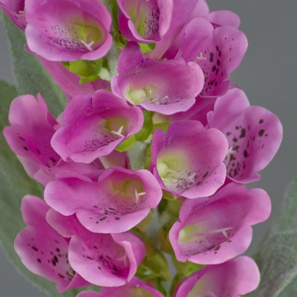 Künstliche Blume mit pinkfarbenen glockenförmigen Blüten und grünen Blättern.