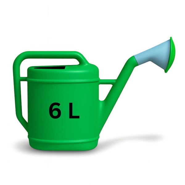 Grüne Gießkanne aus Kunststoff mit 6 Liter Fassungsvermögen und Brausekopf.