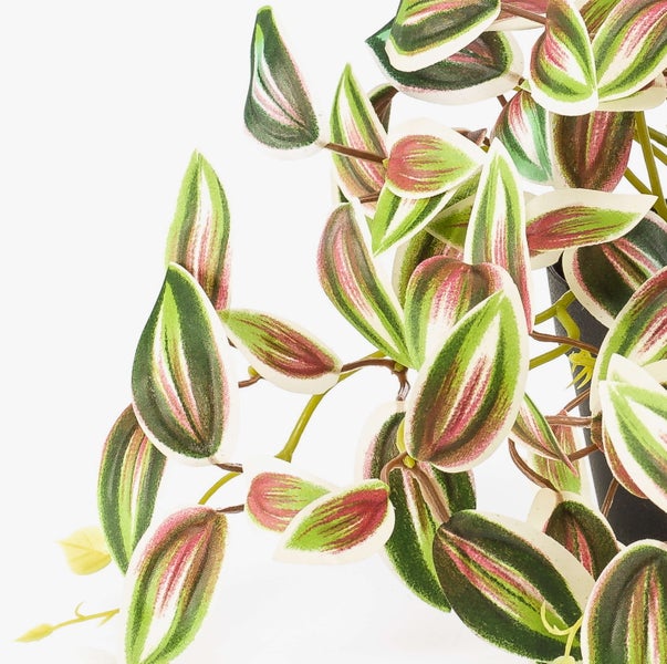 Künstliche Tradescantia im schwarzen Topf mit gestreiften Blättern in Grün, Weiß und Rosa.