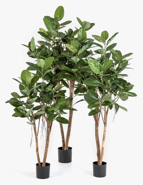 Künstliche Ficus Audrey Pflanze mit großen grünen Blättern und zwei Holzstämmen in einem schwarzen Kunststofftopf.
