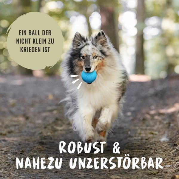 Hund mit robustem Hundeball im Maul