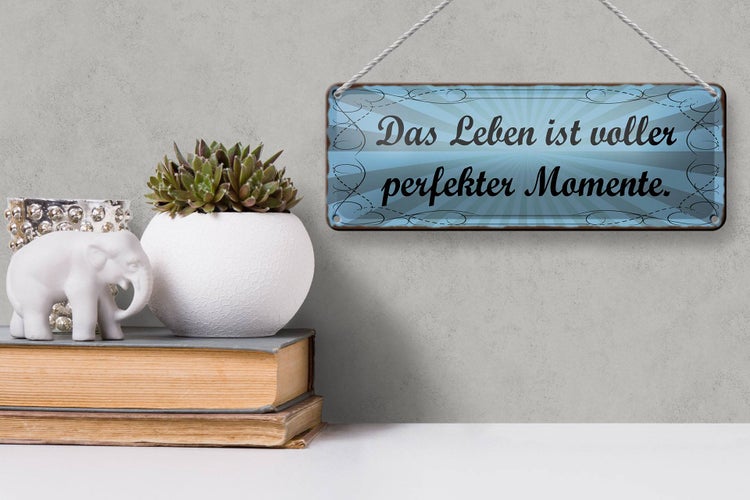 Blechschild Spruch 27x10cm Leben voller perfekter Momente Dekoration