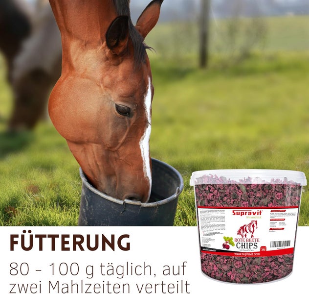 Pferd frisst Rote Bete Chips aus einem Eimer, Produktverpackung von Supravit Rote Bete Chips im Vordergrund.