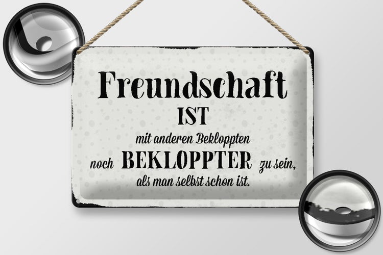 Blechschild Spruch 30x20cm Freundschaft ist mit anderen