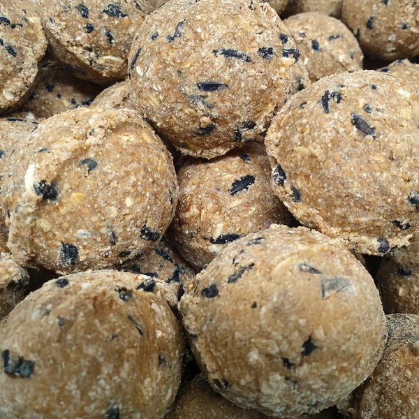 Nahaufnahme von Fettfutterbällen für Vögel