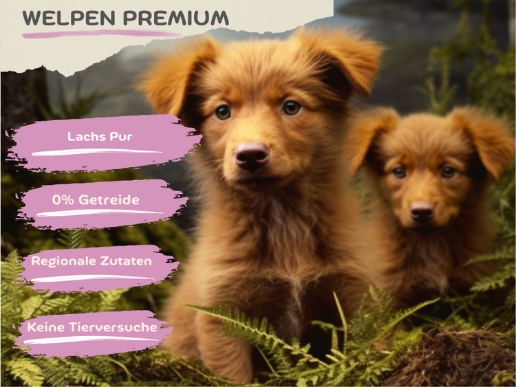 Premium Welpen (1 x 8 kg) Junior Trockenfutter getreidefrei mit Lachs | Hypoallergenes Welpenfutter für große & kleine Rassen ab dem 2ten Monat