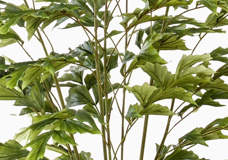Künstliche Fischschwanzpalme Caryota im schwarzen Kunststofftopf mit naturgetreuen grünen Blättern.