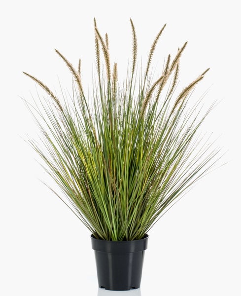 Künstliche Graspflanze in einem schwarzen Topf mit grünen Halmen und braunen Blütenständen.