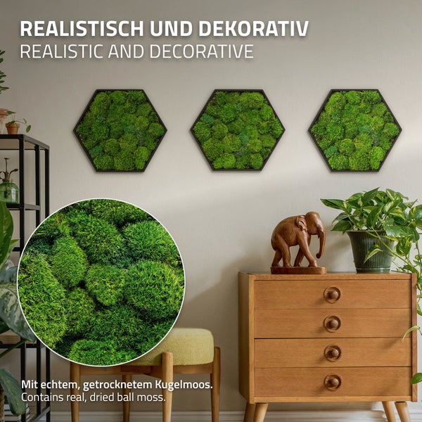 Drei sechseckige Wandbilder mit echtem, getrocknetem Kugelmoos in einer Wohnraumumgebung zur dekorativen Wandgestaltung.