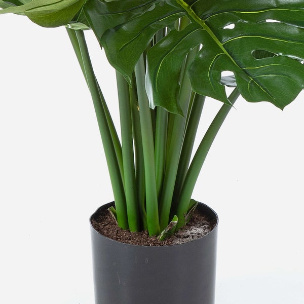 Künstliche Monstera Pflanze in schwarzem Topf, Detailansicht der Stängel und Blätter.