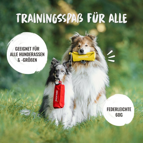 Zwei Hunde mit Hundespielzeug von Rudelkönig auf einer Wiese. Geeignet für alle Hunderassen und -größen, federleichte 60 Gramm.